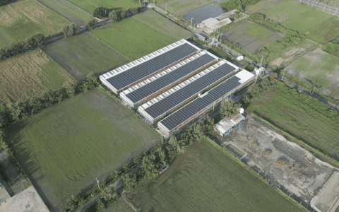 Taiwan goose farmer goes green with solar panels